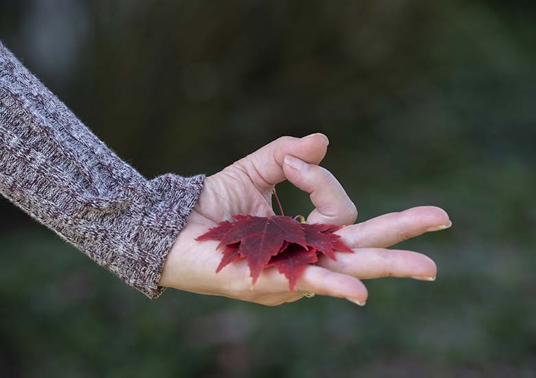 carmel-compass-counseling-additional-offerings-yoga
